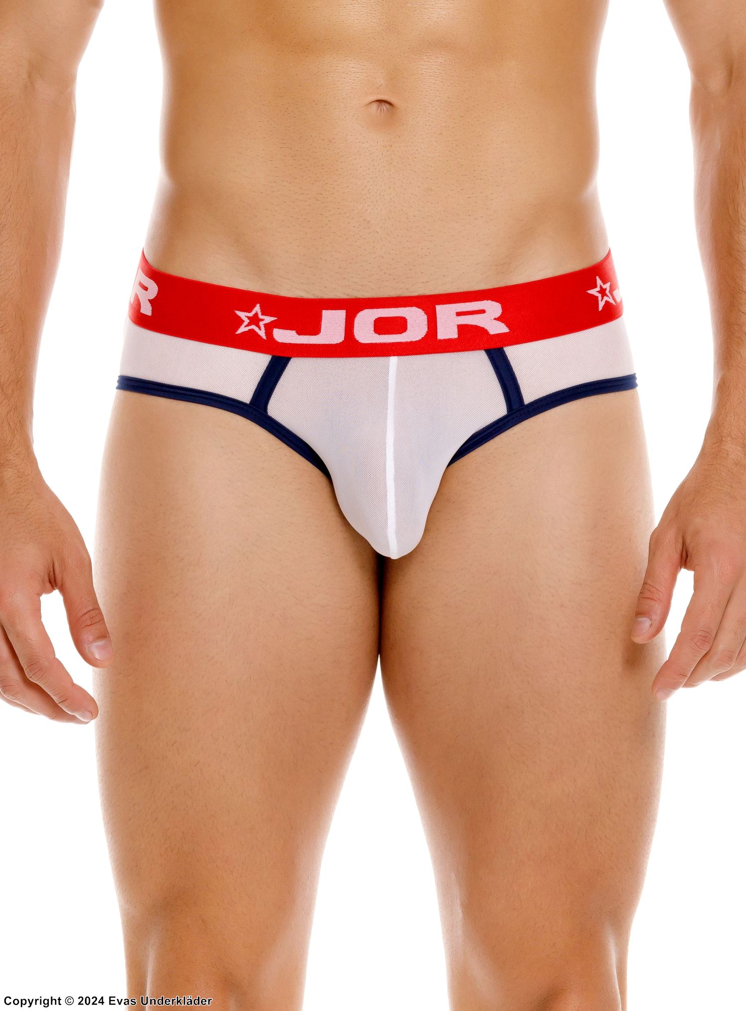 Men's briefs